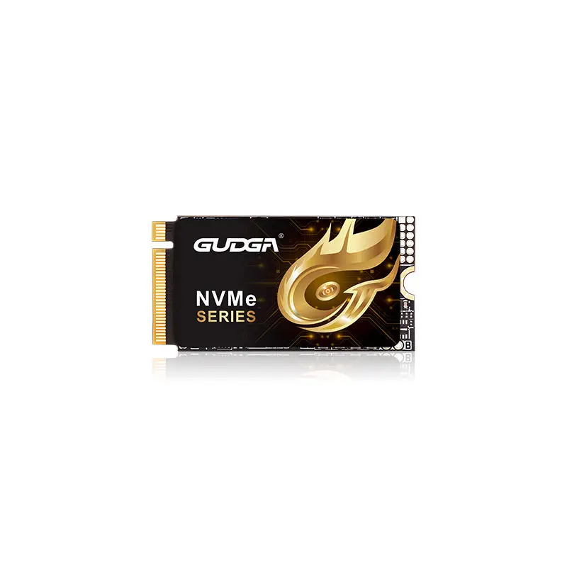 2242 အရှည် PCIE 4.0 NVMe SSD 7000MB/s